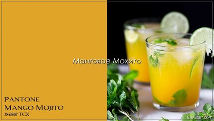 Модные цвета весны-лета 2019 по версии Пантон (Pantone) и их сочетаемость с 12 цветотипами внешности