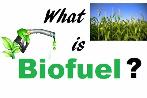 What is Biofuel? - Смотреть онлайн в поиске Яндекса по Видео