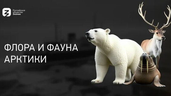 Флора и фауна Арктики — Видео от Российское общество «Знание»