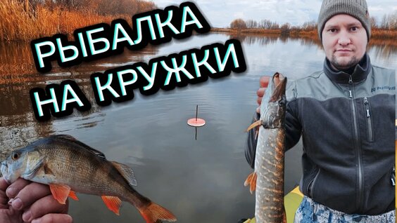 Рыбалка на кружки. В поисках окуня и щуки на большом пруду! — Видео от Рыбалка в у...