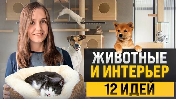 12 крутых идей для домашних животных в интерьере — Видео от Бюро Archwood дизайн интерьеров