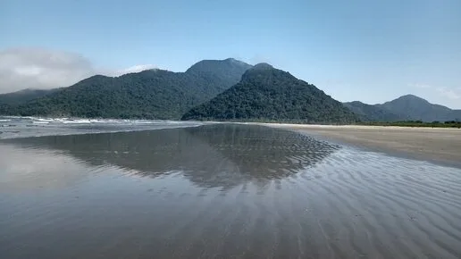 Veb-kamerada qizlar bilan jinsiy aloqa