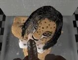 Furry cheetah porn