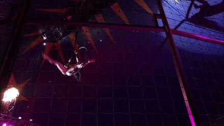 aerial hoop