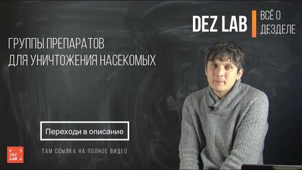 Группы препаратов для уничтожения насекомых. В чем особенности?