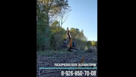 Как раскорчевать поле экскаватором