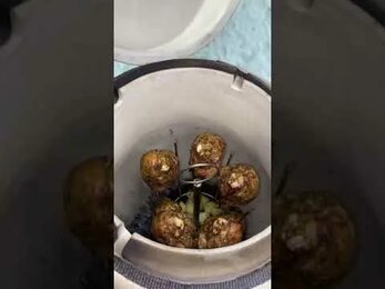 Тандыр степной. Обзор тандыра. Распаковка тандыра.