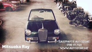 Ray Mitsuoka Japan