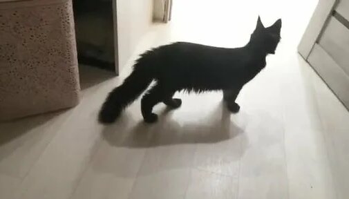 Onlyfans Review-Audrey Shanice@audreyshanice