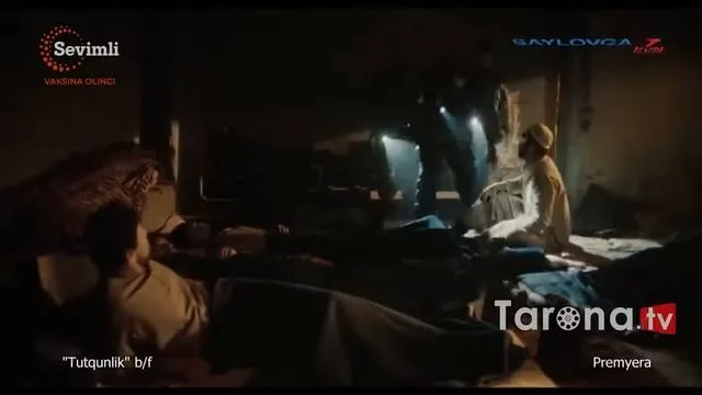 Жалаңаш әншілер мысық қуыршақтары