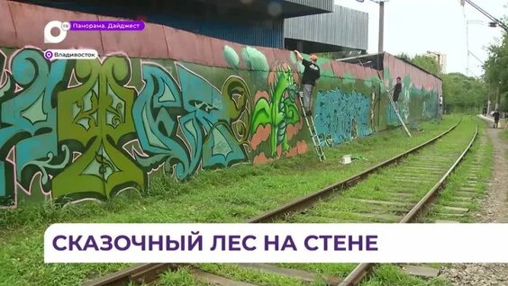 Во Владивостоке проходит дальневосточный фестиваль уличного искусства Graffest — Видео о...