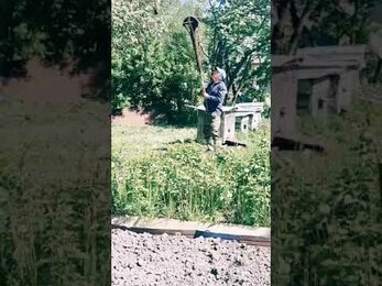 Пчёлы. Рождение семьи. Моя деревня!!!
