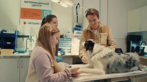 Фильм Движения Первых «Разговоры о важном»: Волонтёры» — Видео от Движение Первых