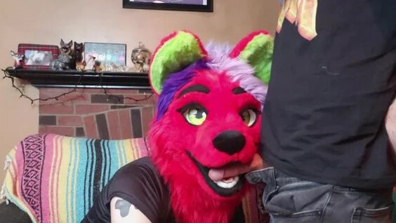 Furry irl porn