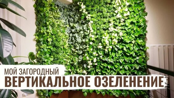 Вертикальное озеленение / Мой Загородный / #37 — Видео от Телеканал «Загородный»