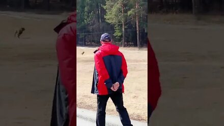 Змейка. Курсинг