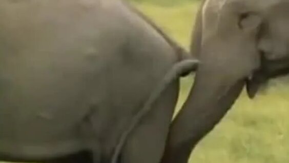 Әйел оргазмы: жаңа эпизодтар