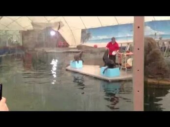 Посещение Московского зоопарка