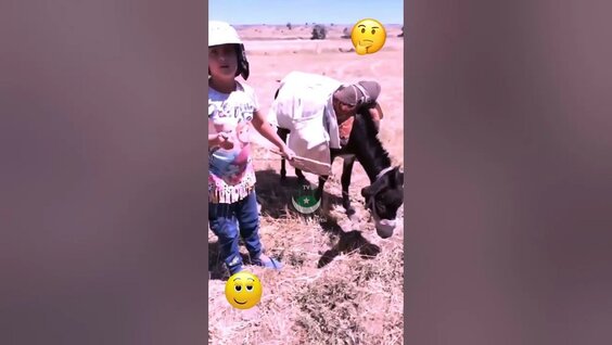 Porno eng chiroyli anuslar