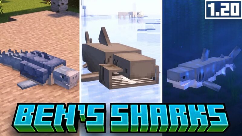 Ben's Sharks - 10+ Sharks in Minecraft ! New Mod Showcase 1.20.1 [Forge ...