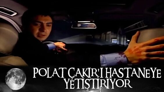 kurtlar vadisi caps sins: 894 video Yandex'te bulundu