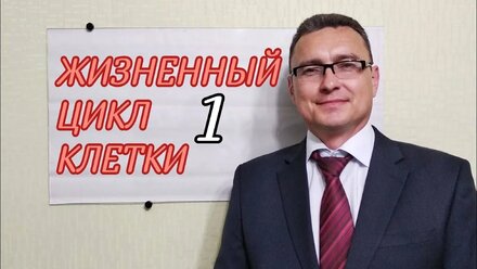 БИОЛОГИЯ ЕГЭ ОГЭ ЛАЙФХАК ДЛЯ ПОНИМАНИЯ ЖИЗНЕННОГО ЦИКЛА КЛЕТКИ. ИНТЕРФАЗА