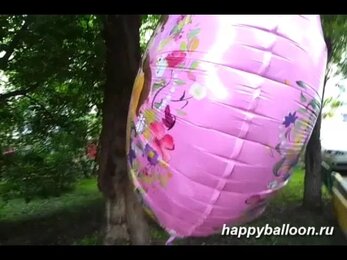 Круглосуточная доставка воздушных шаров - HAPPYBALLOON.ru