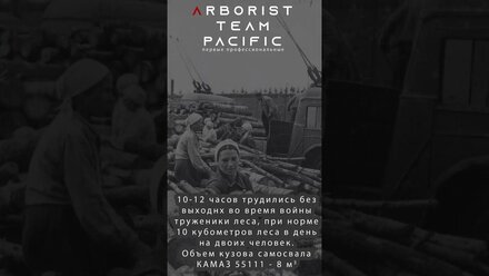 Вклад лесной отрасли во время Великой Отечественной Войны #9маяденьпобеды#победа#вов#лес#ленинград