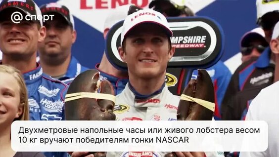 Самые странные спортивные награды в мире — Видео от Спорт Mail