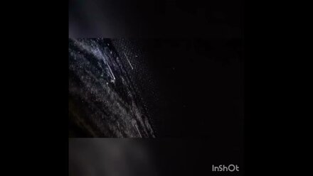 Ночная съемка клопов на диване.