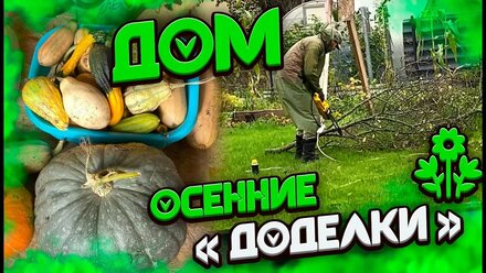 Выкопали из земли огромный короб. Собираем урожай. Закрываем сезон.