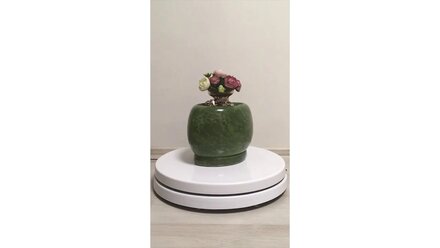 Turntable for 3d scanning (vase of flowers)