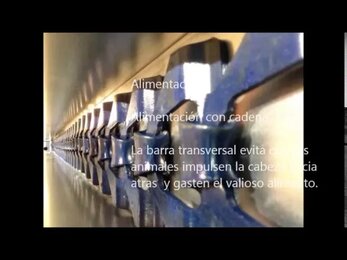 Hellmann Poultry Equipment, Bateria Ponedora, Sistemas de Jaula, Cages