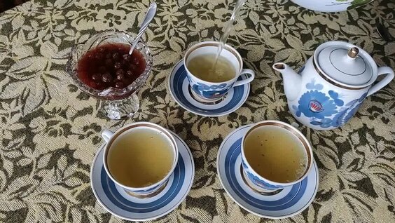 Купаж с листьями плодовых растений_IGTV — Видео от "Чайгород" - только вкусный чай