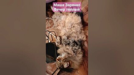 Вечер тёплый. Маша Зарянко