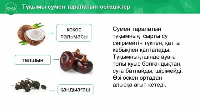 Үй иесі мен бағынышты арасындағы жыныстық қатынас