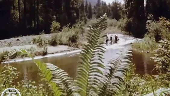 Байкальский заповедник (1978) — Видео от Гостелерадиофонд