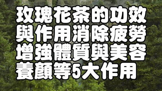 5 等 分 の 花嫁 セックス
