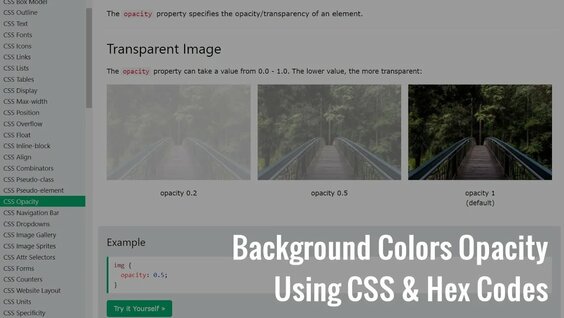 html background color code: 1 bin video Yandex'te bulundu