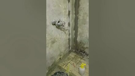 санузлы под ключ до ипосле