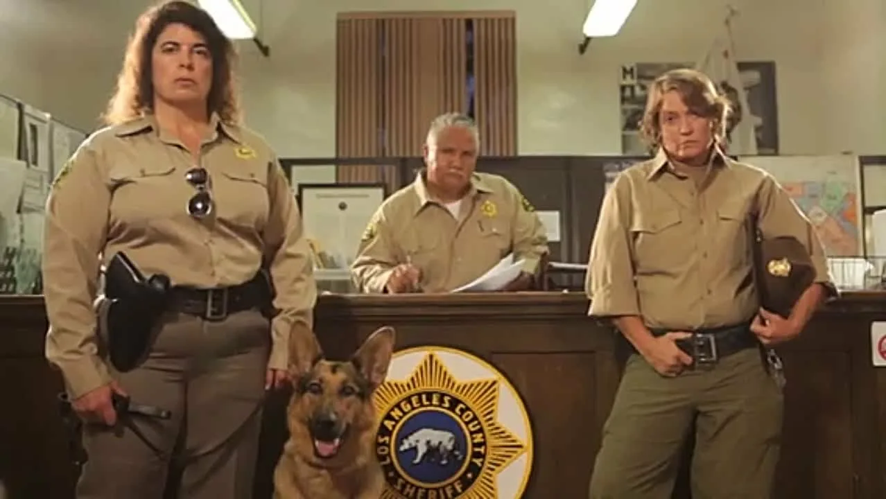 Seks jivodnami pormo