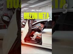 Что ты такое?  Hozon Neta S