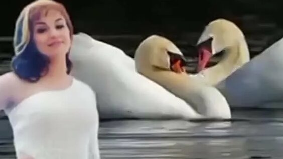 Кең емізіктері бар порно