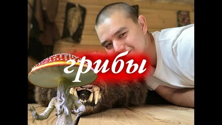 грибной эфир от 10 02 23