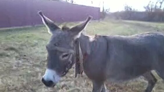 Dnepropetrovsk mehmonxonasida yashirin kamera