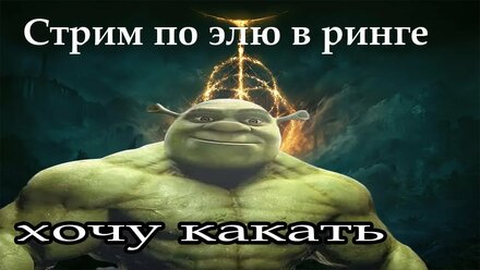 elden ring ( я действительно хочу какать )