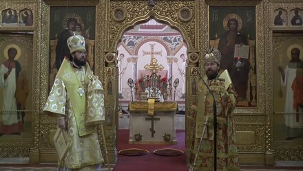 Митрополит Иларион и архиепископ Антоний в Вене