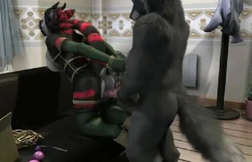 Furry bondage comics