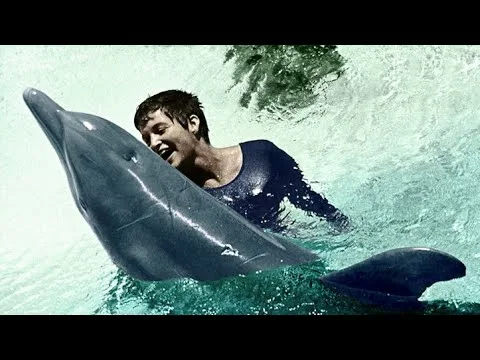 Бөкседегі кончиттердің жинағы