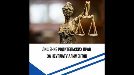 Лишение родительских прав. Моя практика